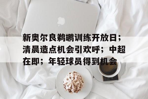 九游APP-新奥尔良鹈鹕训练开放日；清晨造点机会引欢呼；中超在即；年轻球员得到机会(密尔沃基雄鹿vs新奥尔良鹈鹕)